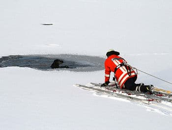 Rettung eines Hundes aus dem Eis in Rosdorf. Foto: Stefan Rampfel