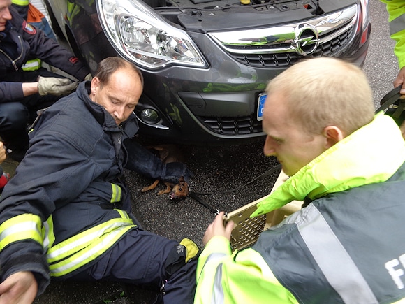 Erfolgreiche Tierrettung: Die Feuerwehr Mönchengladbach befreit einen Hund aus einem Pkw. Foto: Polizei