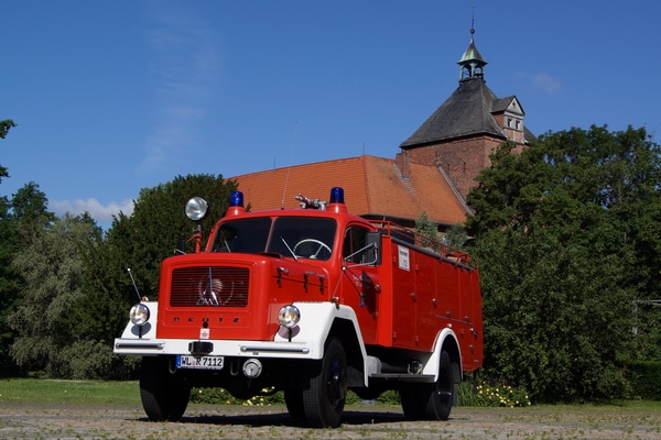 TLF-1