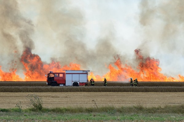 Heftige Windböen ließen die Flammen eines Feldbrandes bei Ditfurt am Montag bis zu fünf Meter hoch aufsteigen. Foto: Mücke