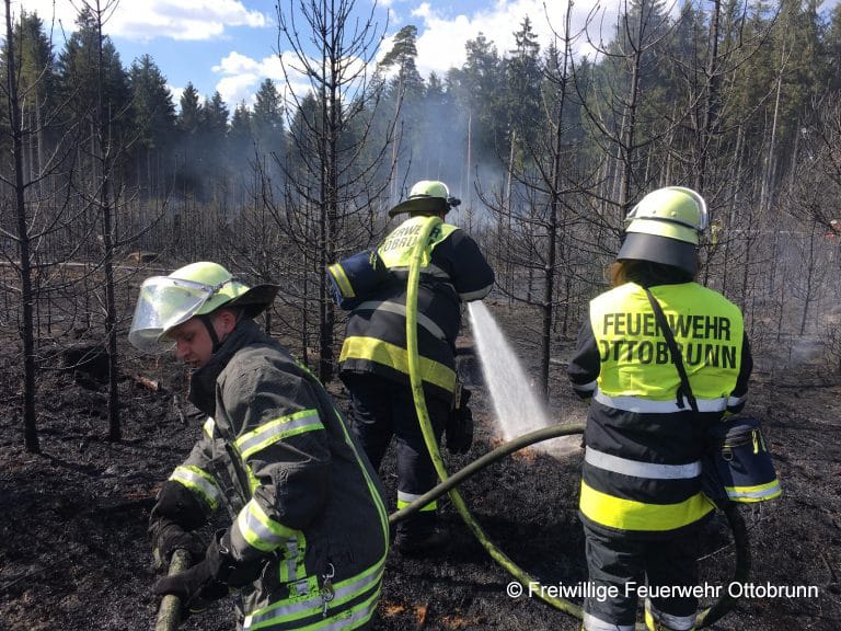 Schon 12 Waldbrände bei München: Brandstifter gesucht