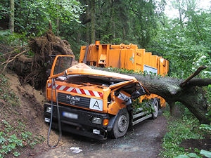 Die Eiche hat das Fahrerhaus des Müllwagens völlig zerstört. Foto: Polizei