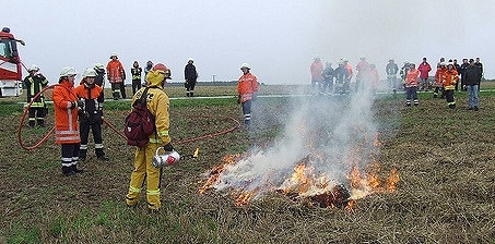 Training zur Vegetationsbrandbekämpfung. Foto: Feuerwehr-Report Nord 2010