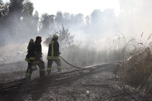 Ein Waldbrand bei Antrifttal zerstört große Waldfläche. Foto: Phillip Weitzel