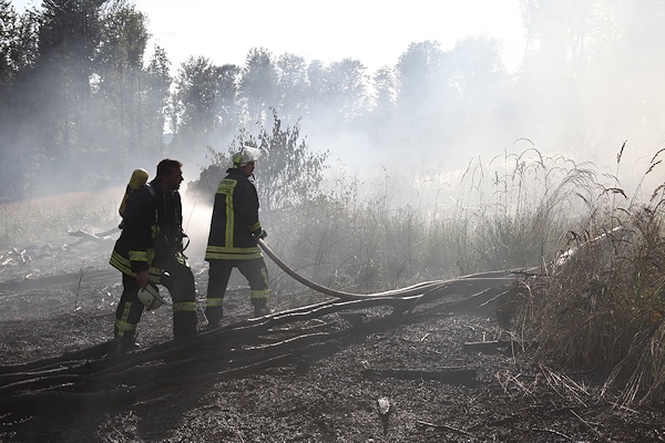 Ein Waldbrand bei Antrifttal zerstört große Waldfläche. Foto: Phillip Weitzel
