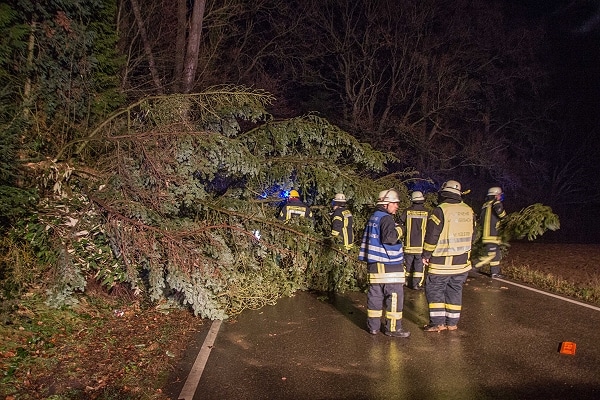Sturmschaden: Umgestürzter Baum bei Affalterbach auf der K 1674 im Kreis Ludwigsburg. Foto: 7aktuell.de/Specht