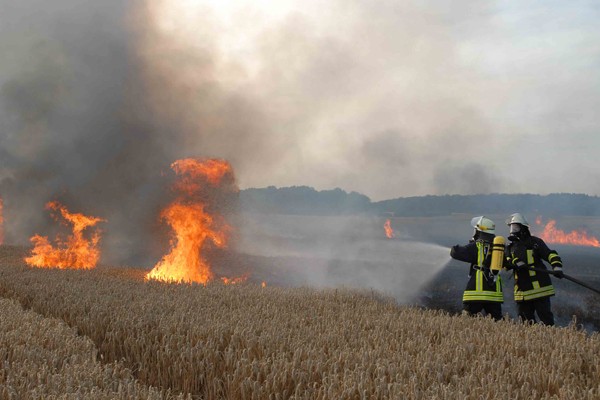 flächenbrand