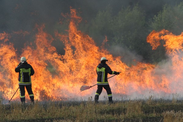 Flächenbrand_Einsatz_Feuerwehr_Waldbrand_Tipps_Taktik_Vorgehen