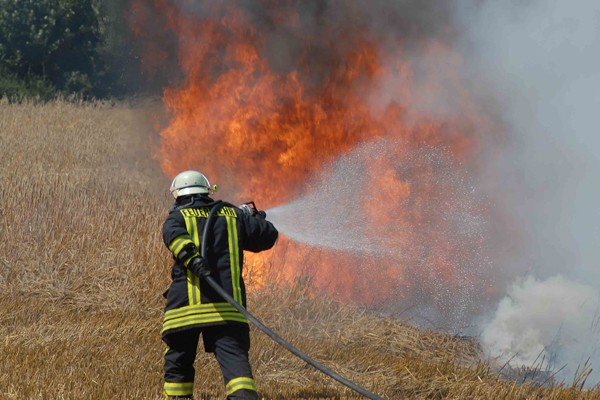 Flächenbrand_Einsatz_Feuerwehr_Waldbrand_Tipps_Taktik_Vorgehen_II