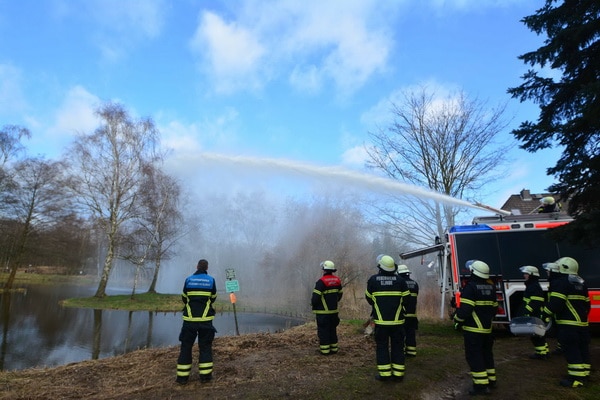 Mit dem Werfer eines Löschfahrzeugs versuchen Feuerwehrleute in Glinde, einen festsitzenden Kormoran zu befreien. Foto: L. Ebner