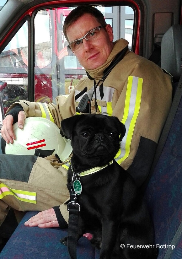 Die Feuerwehr entdeckte einen Hund in einem verunfallten Lkw. Foto: Feuerwehr Bottrop 