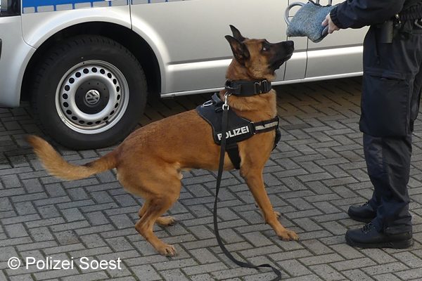 Symbolfoto_Polizeihund