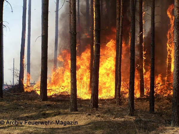 Symbolbild eines Waldbrandes. Foto: Archiv Feuerwehr-Magazin