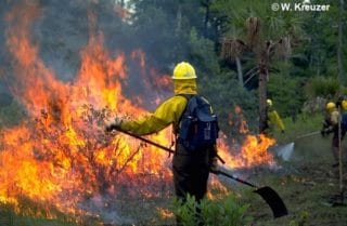 Feuerwehrmann vor Waldbrand