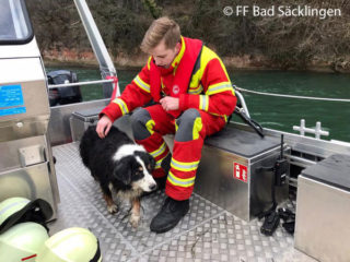 Die FF Bad Säcklingen und Wallbach kommen einem Hund zu Hilfe. Der Vierbeiner war zuvor in den Rhein gestürzt.