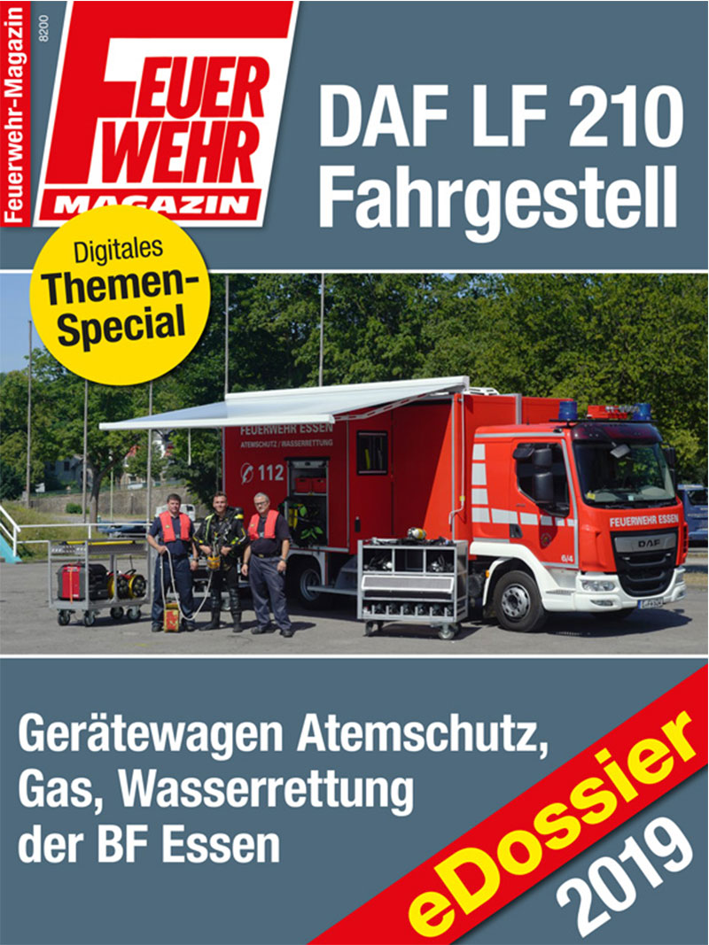 Produkt: Download: DAF LF 210 Fahrgestell