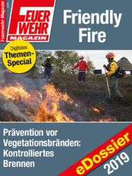 Produkt: PDF-Download: Download Friendly Fire