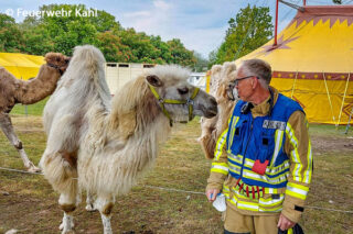 Auge in Auge mit dem Dromedar: Ein Gruppenführer der FF Kahl nach der erfolgreichen Kameljagd bei einem Zirkus.