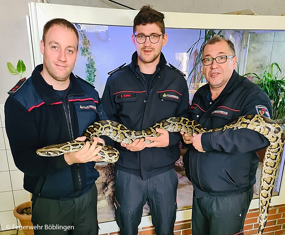 Fachgruppe Schlangen und Reptilien