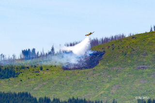 Waldbrand am Harz