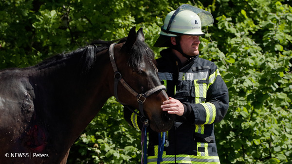 Ein Kamerad der Feuerwehr kümmert sich um das verletzte Pferd. Der Umgang mit Tieren bei Unfällen oder die Tierrettung allgemein sind immer besondere Herausforderungen für die Feuerwehr. Foto: NEWS5/Peters