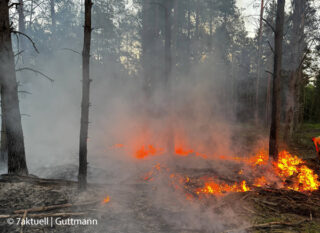 Wegen Hitze und fehlendem Regen ist die Waldbrandgefahr derzeit ungewöhnlich hoch. Hier brennt es in der Kyritz Ruppiner Heide. Foto: 7aktuell/Guttmann