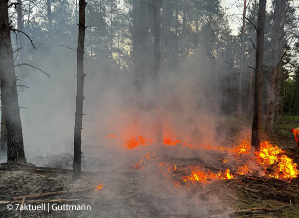 Wegen Hitze und fehlendem Regen ist die Waldbrandgefahr derzeit ungewöhnlich hoch. Hier brennt es in der Kyritz Ruppiner Heide. Foto: 7aktuell/Guttmann