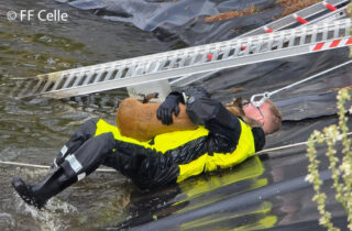 Nachdem ein Feuerwehrmann das Reh im Regenbecken behutsam einfängt, ziehen seine Kameraden die Beiden an Land. Foto Feuerwehr Celle