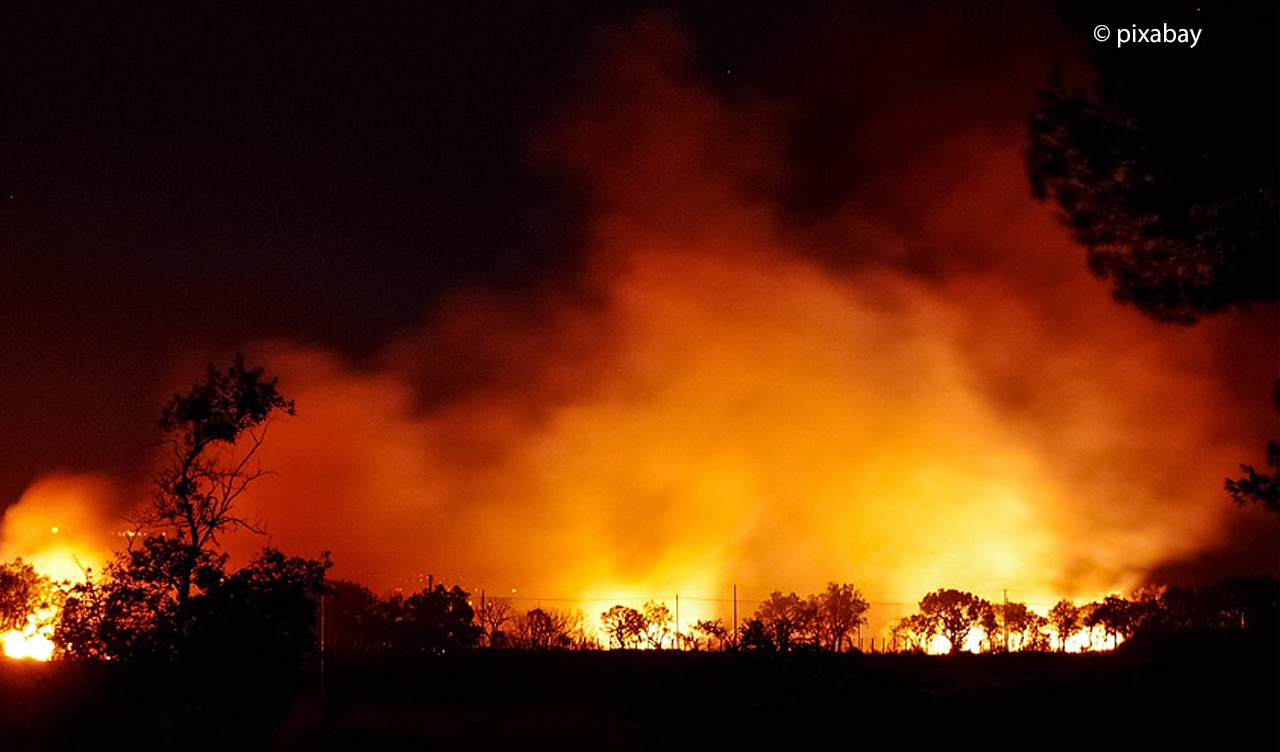 Waldbrände beschäftigen Feuerwehren und Rettungskräfte zunehmend. Das Waldbrandschutzprojekt THOR dreht sich um Präventionsmaßnahmen. Foto: pixabay/Symbolbild