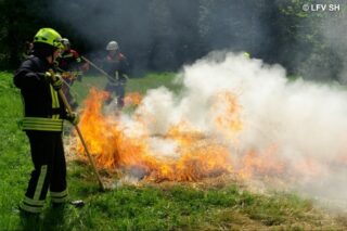 Feuerwehr löscht Vegetationsbrand