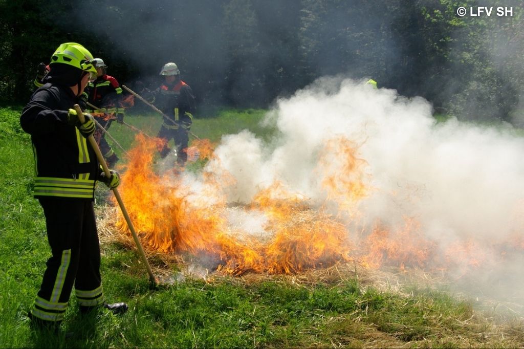 Feuerwehr löscht Vegetationsbrand