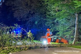 Bei einem schweren Verkehrsunfall kracht der Fahrer eines Sportwagens gegen zwei Bäume. Einer muss im Nachgang gefällt werden. EinsatzReport24/Gröger