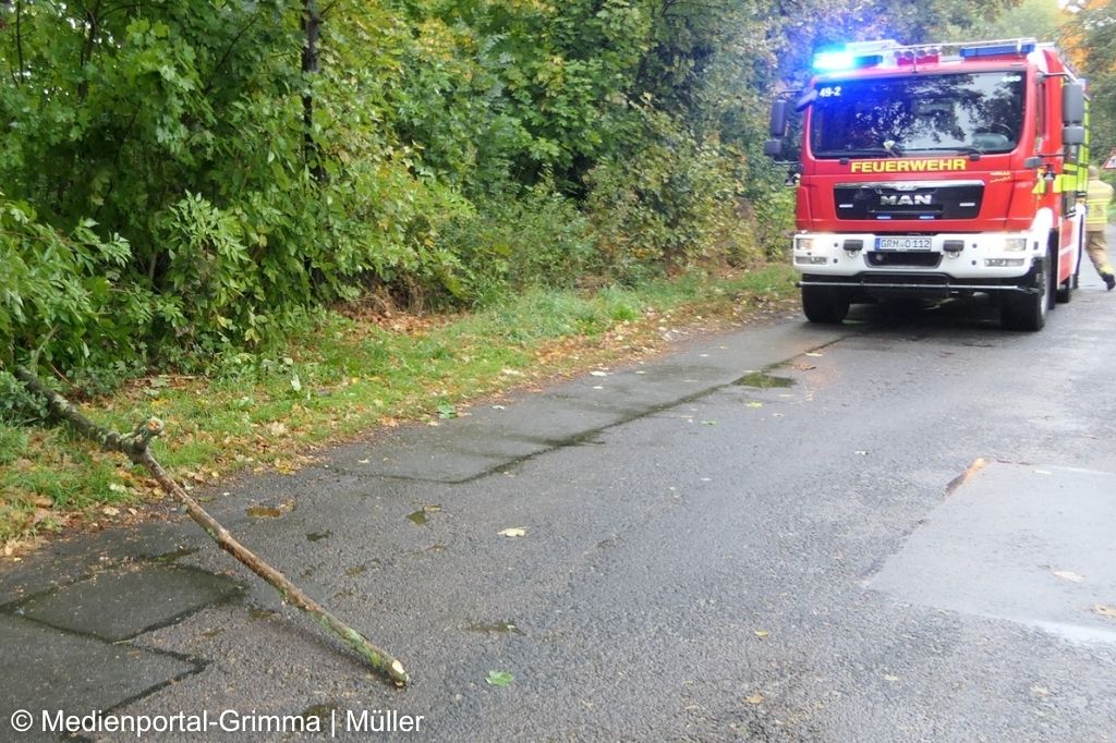 Bäumchen auf Straße; im Hintergrund Feuerwehrfahrzeug