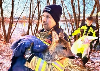 Kräfte der Feuerwehr Geesthacht retten ein Reh, das im Eis feststeckt. Foto: Jann