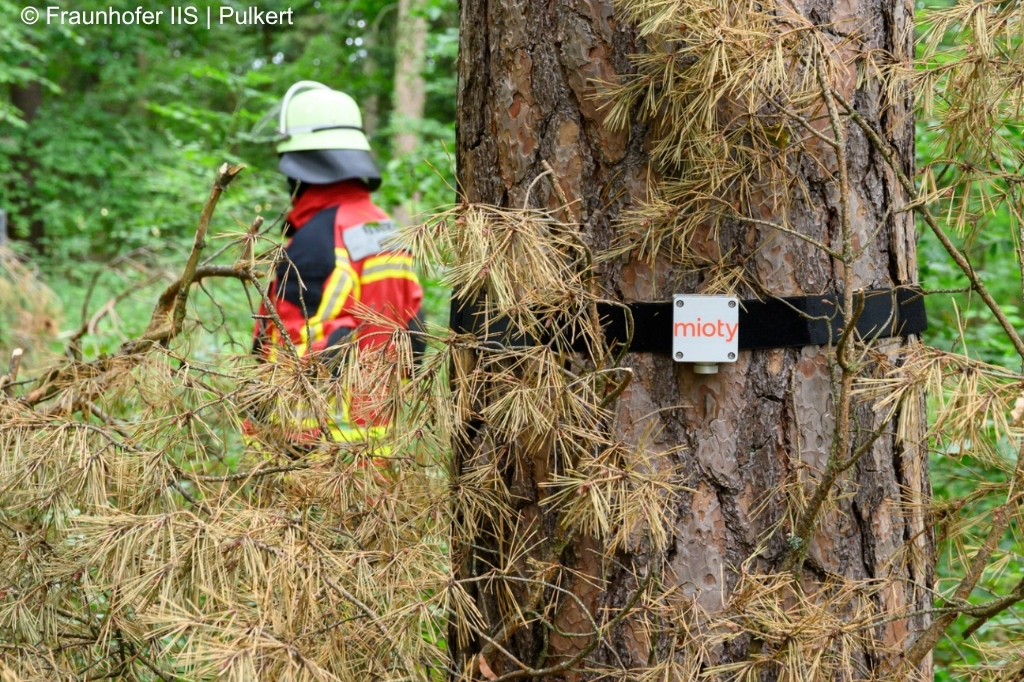 mioty-Sensor an Baum