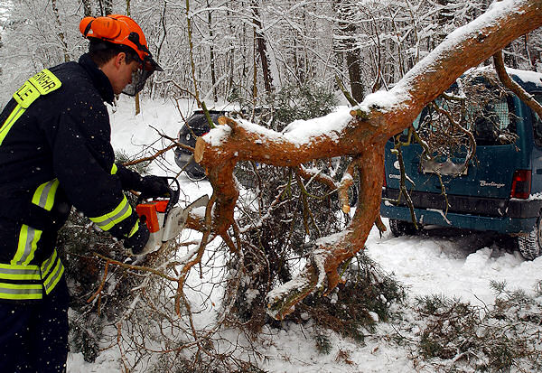 Ein Feuerwehrmann beseitigt bei Halle einen aufgrund der Schneelast umgestürzten Baum. Foto: Jan Möbius Ein Feuerwehrmann beseitigt bei Halle einen aufgrund der Schneelast umgestürzten Baum. Foto: Jan Möbius
