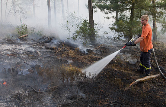 Waldbrand am Montag bei Haltern (NW): rund 10.000 Quadratmeter Fläche verbrannt. Foto: Andre Braune Waldbrand am Montag bei Haltern (NW): rund 10.000 Quadratmeter Fläche verbrannt. Foto: Andre Braune