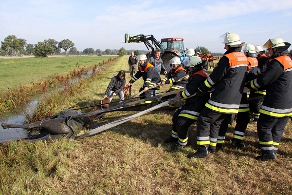 Hengst aus Wassergraben gerettet. Foto: Timo Jann Hengst aus Wassergraben gerettet. Foto: Timo Jann