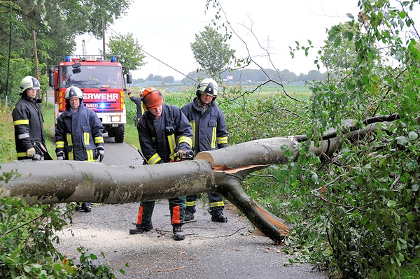 Sturm_Dorsten Mehrere Bäume blockierten Straßen, wie hier in Dorsten. Dabei wurde auch eine oberirdische Telefonleitung zerrissen. Foto: Bludau