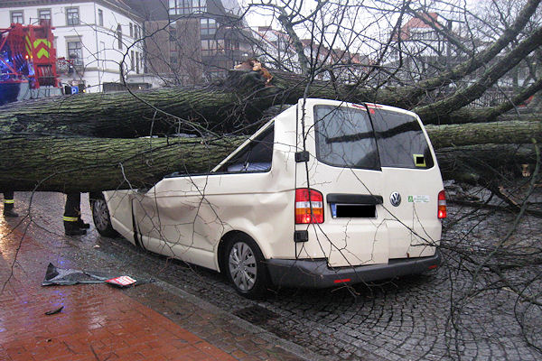Sturmschaden in Bremen: Die Feuerwehr musste einen Taxifahrer befreien, nachdem eine Linde auf seinen fahrenden VW-Bus gestürzt war. Foto: Polizei