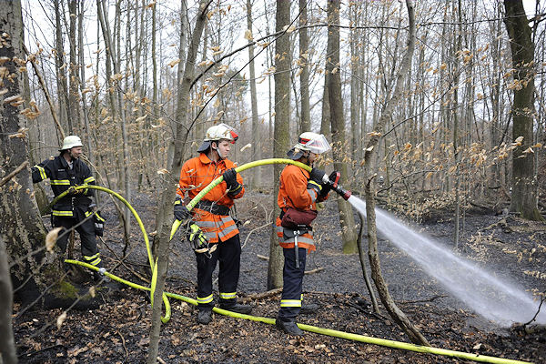 Flächenbrand im Wald bei Sindelfingen. Foto: 7aktuell.de/Oskar Eyb
