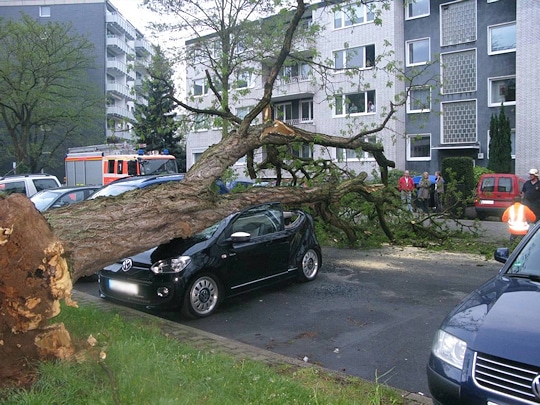 Umgestürzter Baum in Düsseldorf. Der Stamm hat einen fast neuen VW Up völlig zerstört. Foto: Feuerwehr