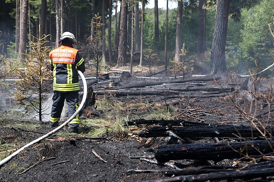 Waldbrand an der A 73 bei Strullendorf. Foto: News5
