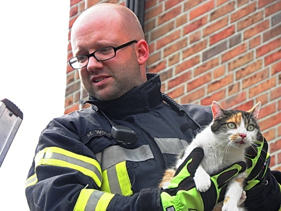 "Hab ich Dich." Ein Feuerwehrmann hat die anfangs flüchtende Katze auf dem Arm. Foto: Förderverein der FF Nordhorn