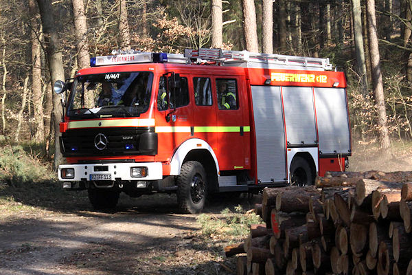 tja-feuer waldboden22