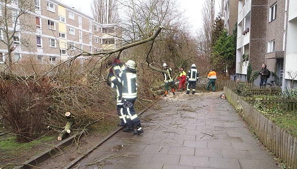 Eine umgestürzte Weide wird vor einem Mehrfamilienhaus in Laatzen beseitigt. Foto: Senft/Feuerwehr