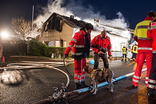 Einsatz von Rettungshunden zur Suche im Umkreis des Brandobjektes. Foto: noltemedia