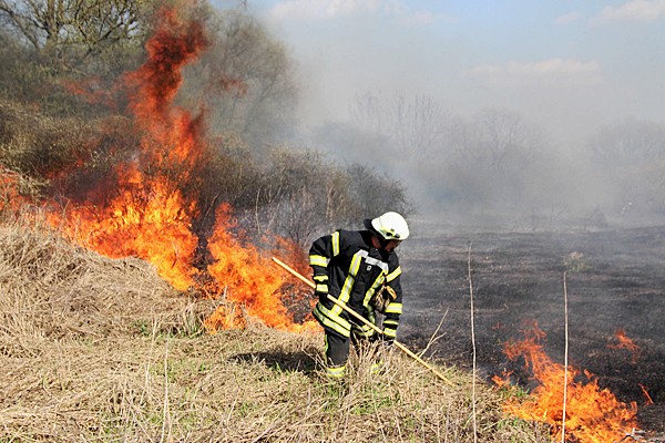Flächenbrand_Hamburg_Elbinsel_600px