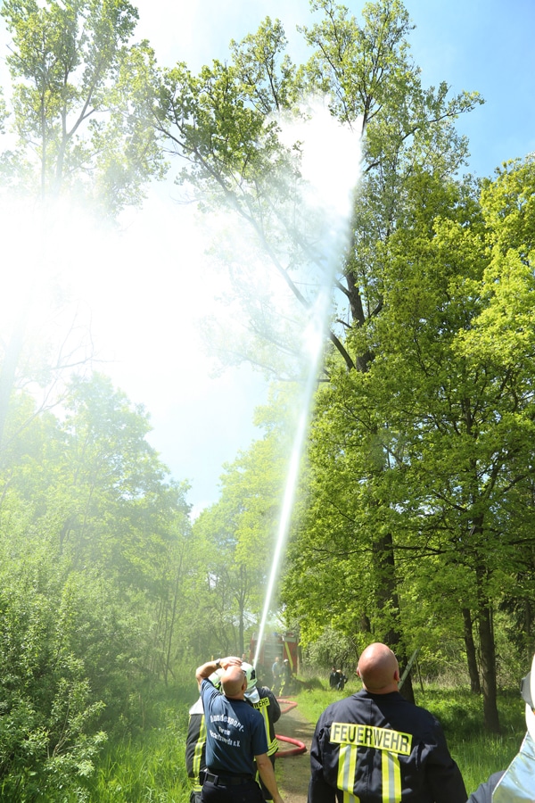 Mittels Wasser wird die Katze aus dem Baum geholt. Foto: Rocci Klein