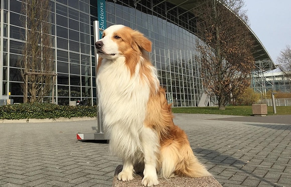 Maskottchen der Interschutz: Rettungshund "Timmy". Foto: Deutsche Messe
